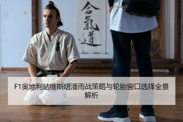 ao-di-li-zhan-wei-si-ta-pan-yu-zhan-ce-lve-yu-lun-tai-chuang-kou-xuan-ze-quan-jing-jie-xi-2-461.jpg